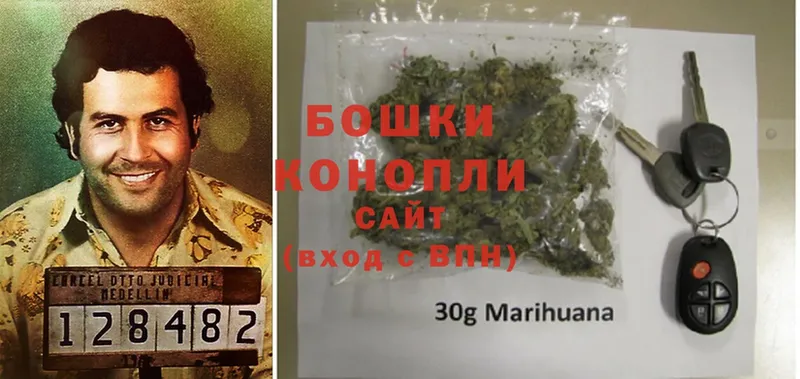 наркошоп  Чкаловск  Марихуана SATIVA & INDICA 